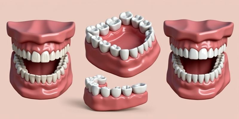 上海泰康拜博口腔医院是正规连锁牙科，资质齐全医生经验丰富，为您的口腔健康保驾护航！