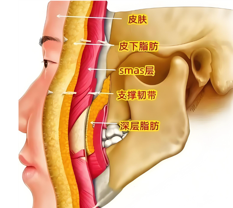 上海趙鵬筋膜懸吊實例分享m.66ub.cn