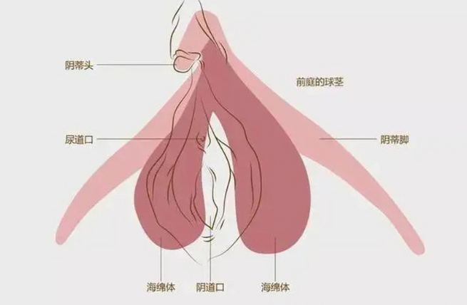 郑州私密整形有几家正规医院