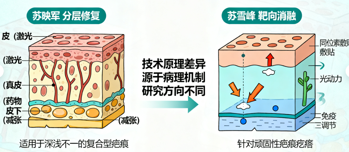苏映军和苏雪峰祛疤的技术路径差异在哪里