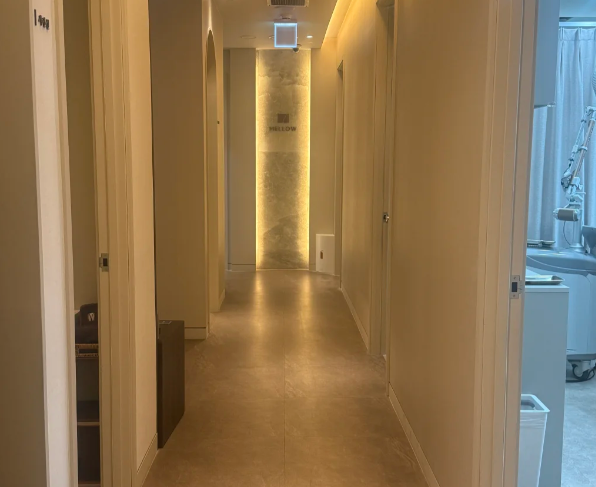 韓國mellow皮膚科清潭店主推項目