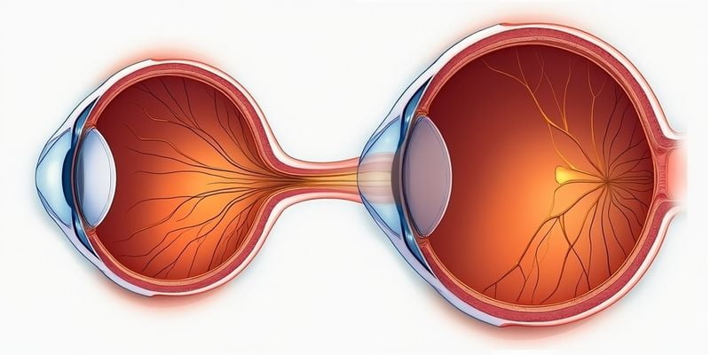 四、漢陽艾格眼科醫(yī)院的網(wǎng)址是什么？