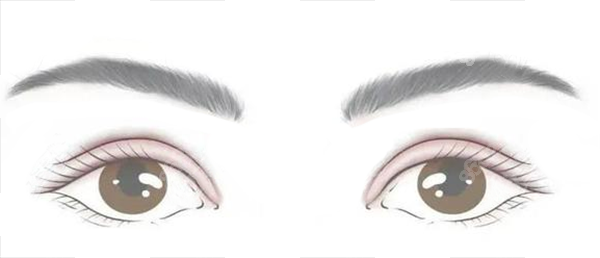 杜園園眼修復怎么樣？沒黑料超靠譜，分層修復讓眼睛變回媽生款