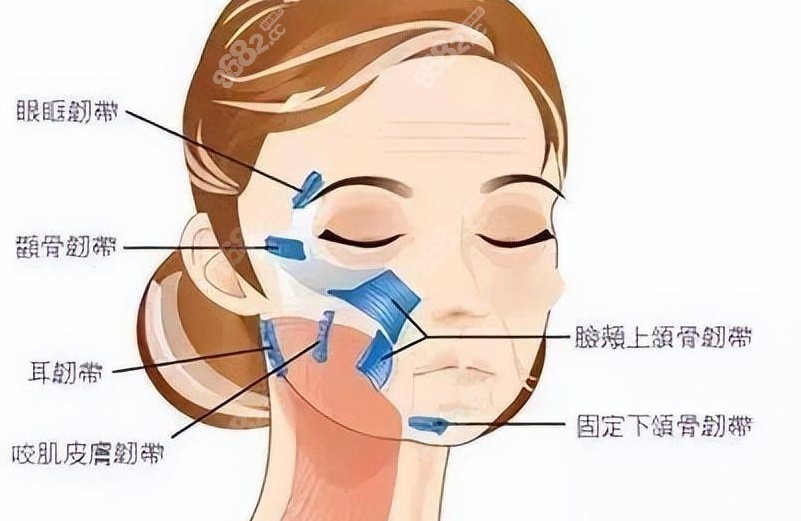 孫瑋?的速拉美可信