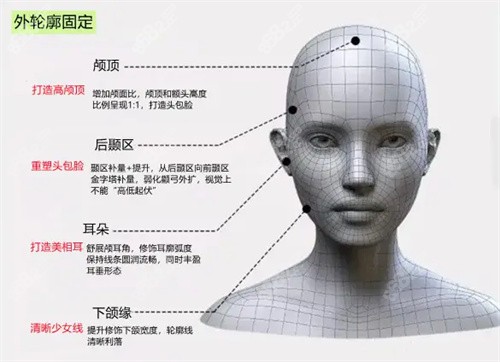 外輪廓固定 外輪廓固定