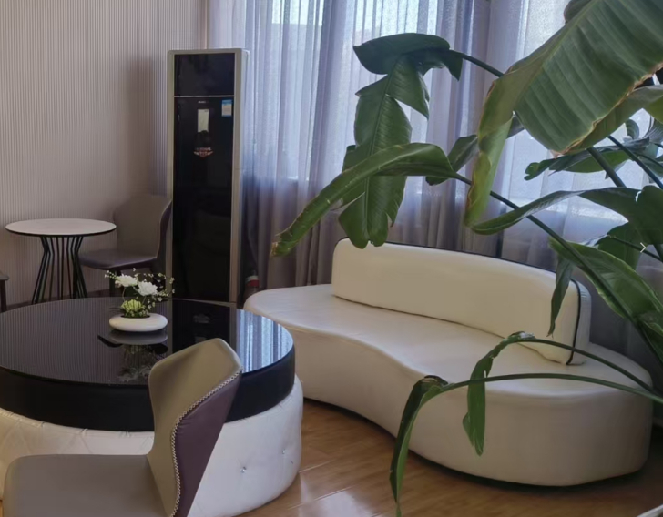 擅长项目:满足多样需求