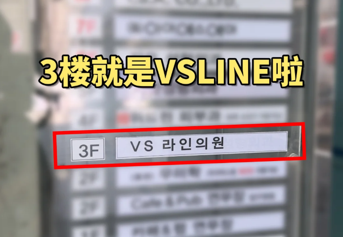 韓國(guó)vsline皮膚科江南店