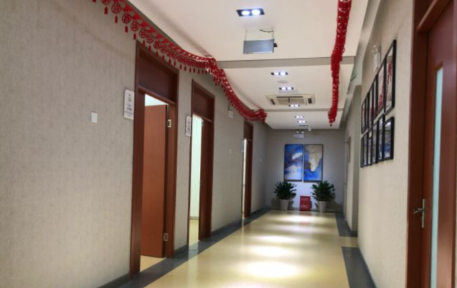 核心项目疗效参考与风险提示