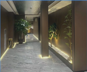 重庆铜雀台整形