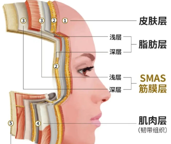 北京筋膜悬吊提升收费价格差异因素