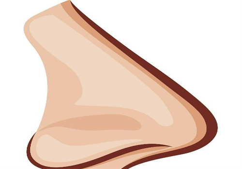 上海陈付国隆鼻医生评价全解析：风格、技术、价格一览，助你选对隆鼻方案！