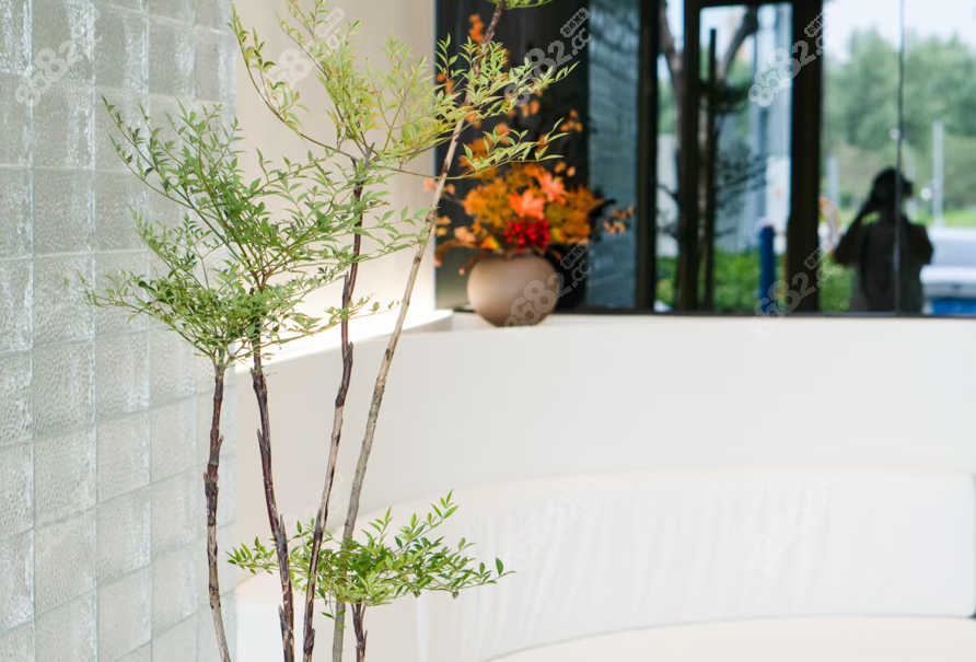 北京郑仕平双眼皮修复价格表 北京郑仕平双眼皮修复价格表