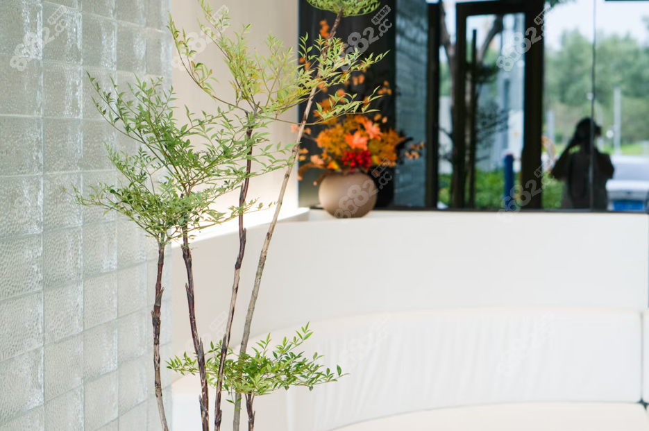 郑仕平双眼皮修复怎么样