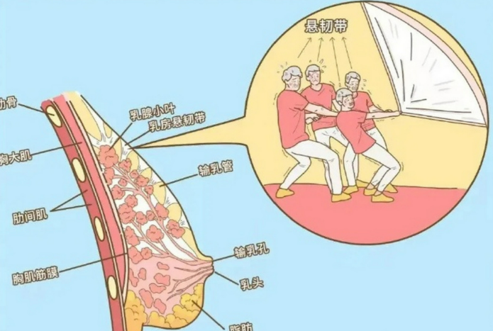 李建東維維提升手術(shù)是正規(guī)機構(gòu)嗎