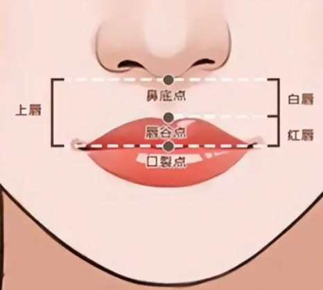 南京譚拯醫(yī)生的審美表現(xiàn)