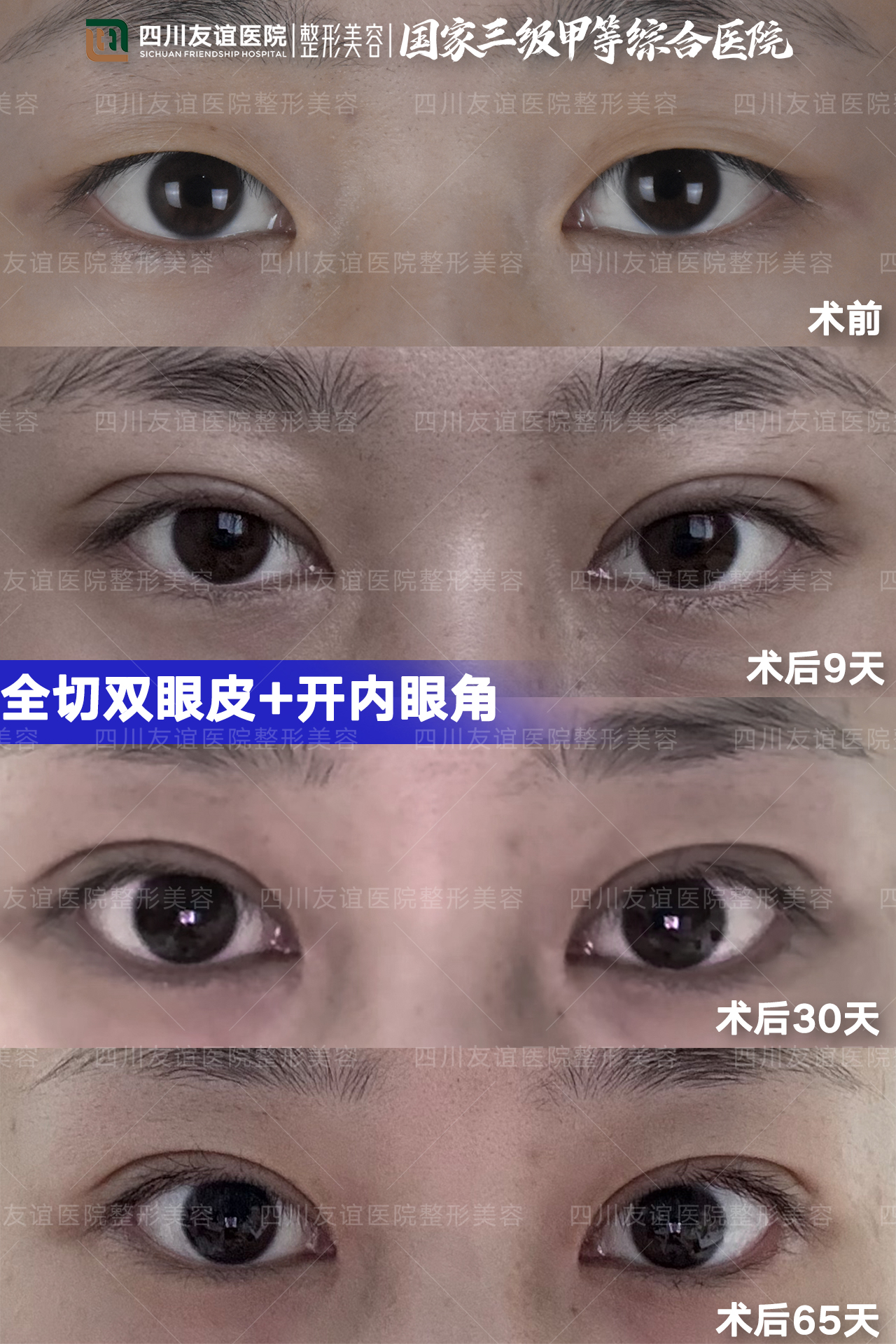 六、顧客評價與口碑