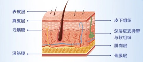 拉皮手術(shù)價(jià)格