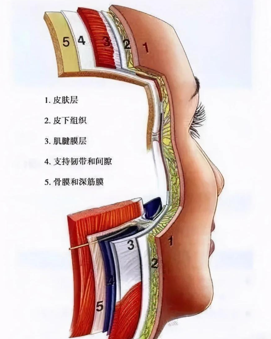 5大避坑指南:如何確保小拉皮手術(shù)療效