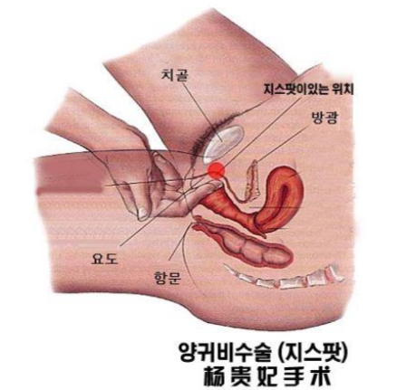 、北京優(yōu)質(zhì)外陰整形醫(yī)院詳細介紹