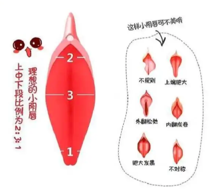 北京外陰整形手術哪家醫(yī)院做得好