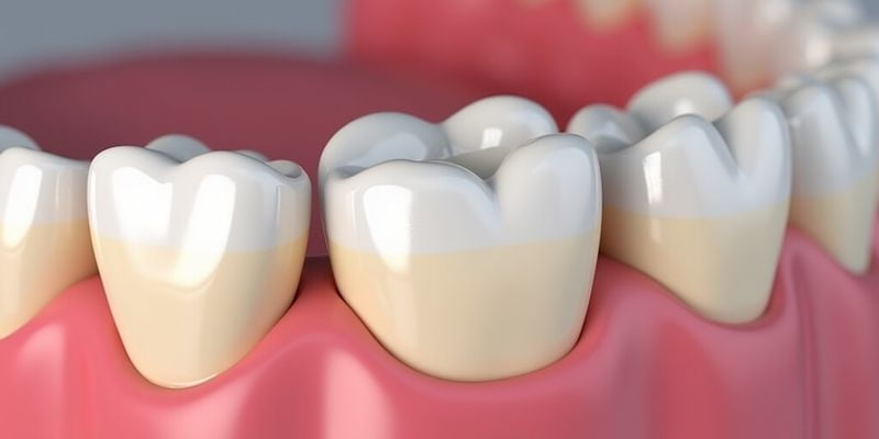 華爾康口腔好還是牙博士好——全瓷牙價格對比