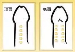 哈爾濱東江醫(yī)院私密科:預(yù)約與聯(lián)系方式