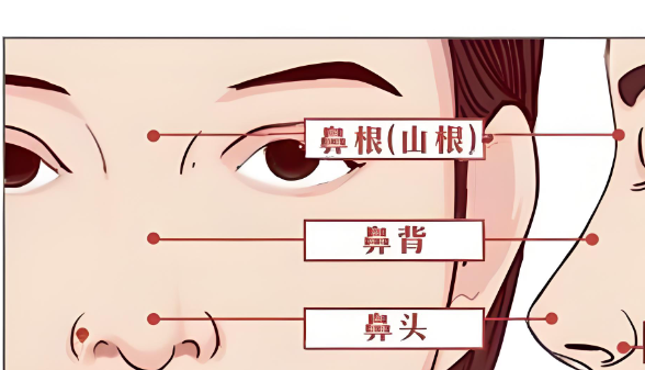 媽生鼻的定義與特色