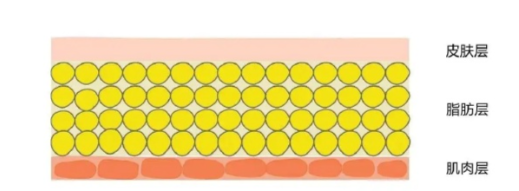 王闊遠和孟繁瑾醫(yī)生哪個溶脂好？技術(shù)、風格多大維度深度對比揭秘！