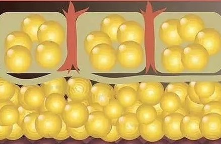 王闊遠和孟繁瑾醫(yī)生哪個溶脂好？真實范例對比