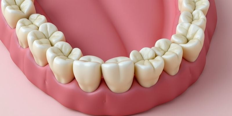 海口諾貝爾口腔醫(yī)院種植牙技術(shù)有多精良？