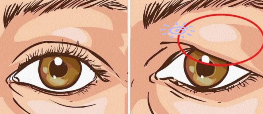 四、綜合對比及推薦價值