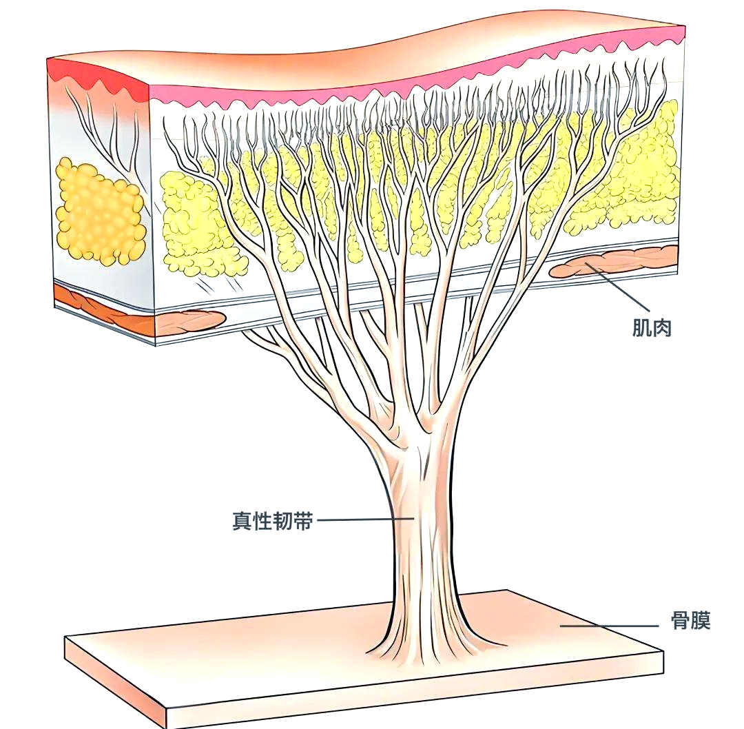 南京淚溝填充好的醫(yī)院排名