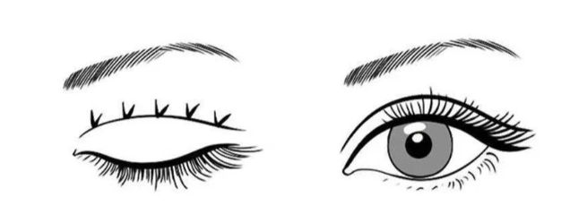 用戶口碑實測：真實實例大公開