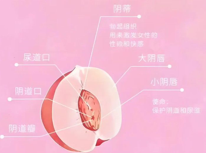 私密整形價(jià)格對(duì)比與選擇建議