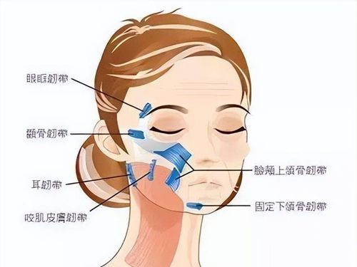 蹇洪醫(yī)生蘋果肌復(fù)位提升怎么樣
