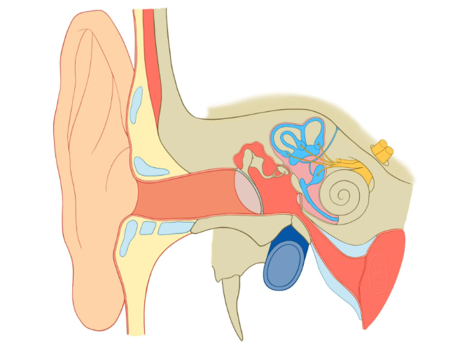 韌帶提升具體價(jià)格收費(fèi)情況：不同城市、材料、術(shù)式的價(jià)格列表