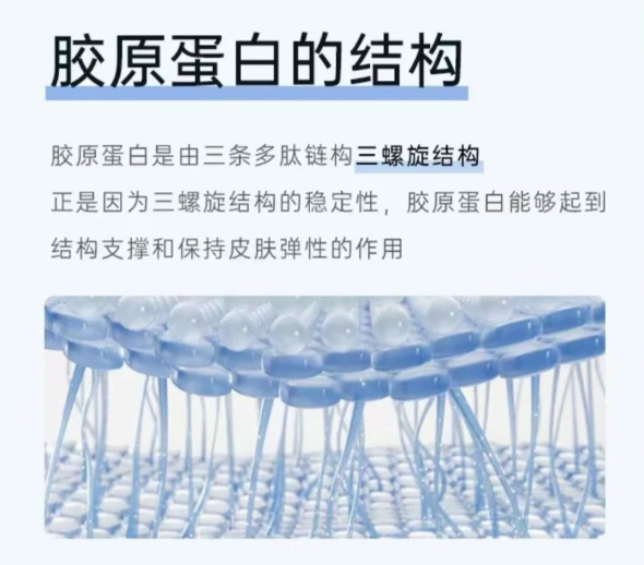 膠原蛋白填充品牌療效排名：雙美為何能維持18個月？