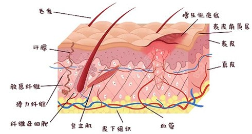馬銳醫(yī)生與同行的比較優(yōu)勢
