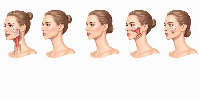 上海時(shí)光整形外科醫(yī)院：個(gè)性化治療的理想之選