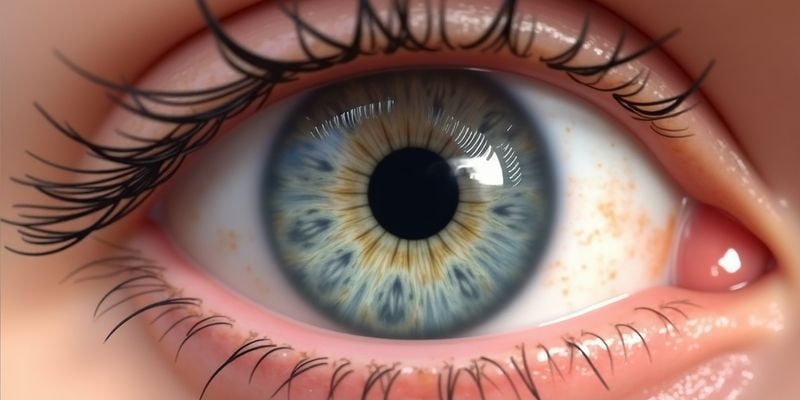 湖州愛爾眼科醫(yī)院有啥優(yōu)勢？