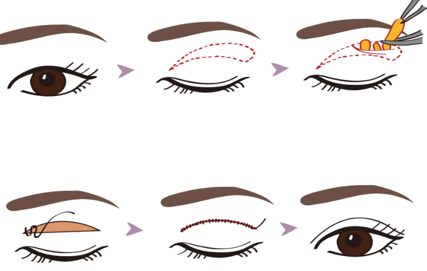 院長背景大起底：學術派VS時尚派