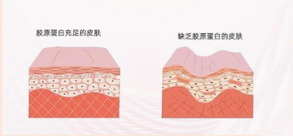 使用感受及適用膚質(zhì)