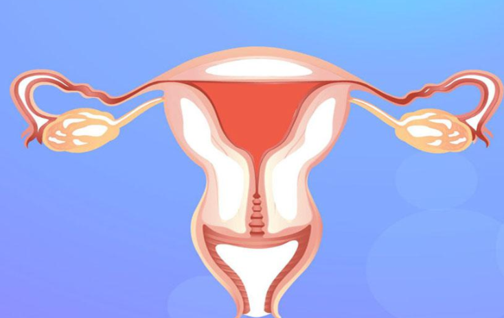 成都女性私密整形醫(yī)生口碑排行榜