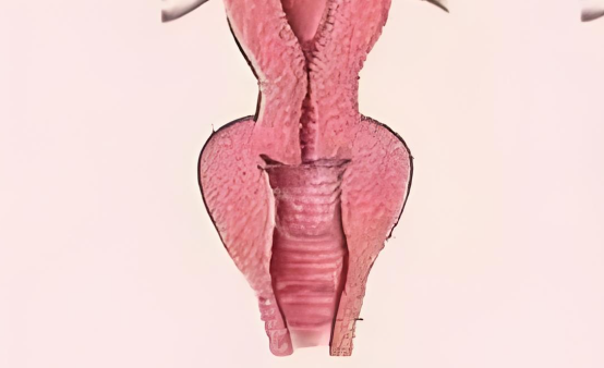 術(shù)后護(hù)理與指南
