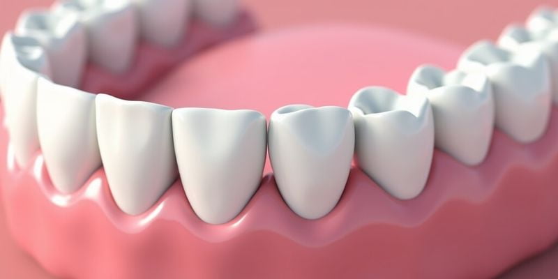 半固定種植牙的手術(shù)過程