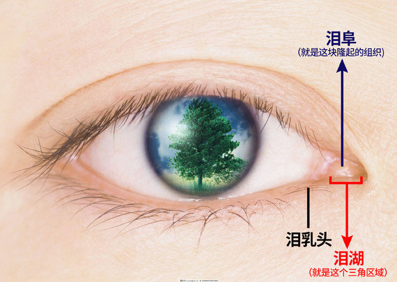 周兆平醫(yī)生雙眼皮手術(shù)預(yù)約攻略