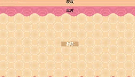 兩者在吸脂方面的對(duì)比分析