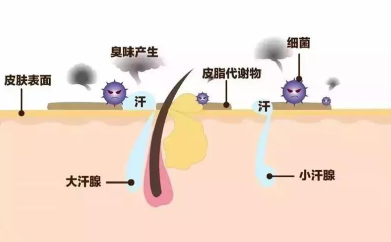 三、四川友誼醫(yī)院腋臭手術就診全攻略