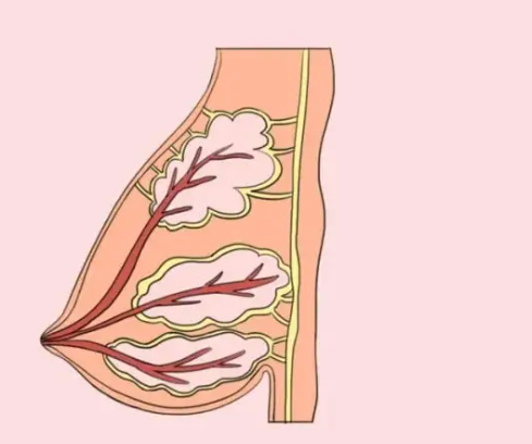患者評(píng)價(jià)與實(shí)例分析