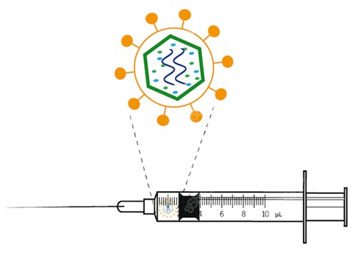注射的不明注射物